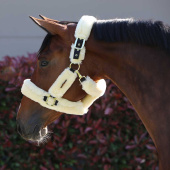 Kantar transportowy Sheepskin Naturalny Kantar transportowy Sheepskin Naturalny