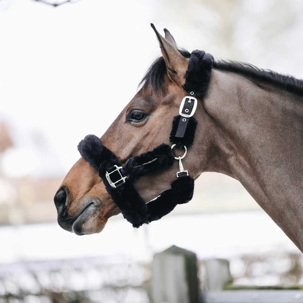 Kantar transportowy Sheepskin Czarny