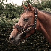 Kantar nylonowy Sheepskin Brązowy Kantar nylonowy Sheepskin Brązowy