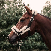 Kantar nylonowy Sheepskin Naturalny Kantar nylonowy Sheepskin Naturalny