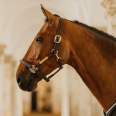 Kantar skórzany Artificial Wellington Czarny Kantar skórzany Artificial Wellington Czarny