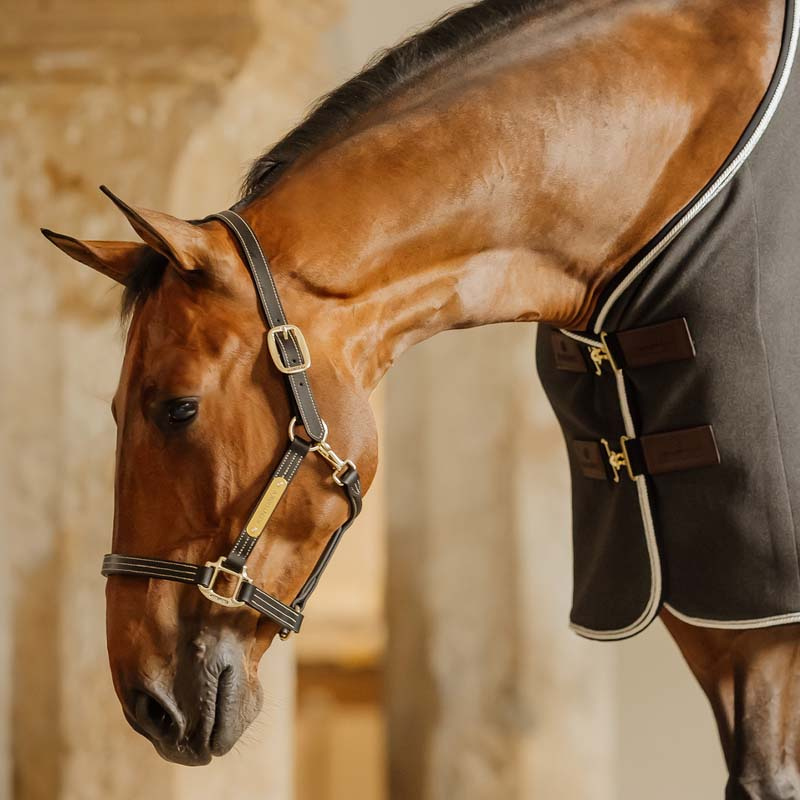 Kantar skórzany Artificial Wellington Czarny