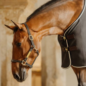 Kantar skórzany Artificial Wellington Czarny Kantar skórzany Artificial Wellington Czarny