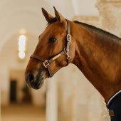 Kantar skórzany Artificial Wellington Brązowy Kantar skórzany Artificial Wellington Brązowy