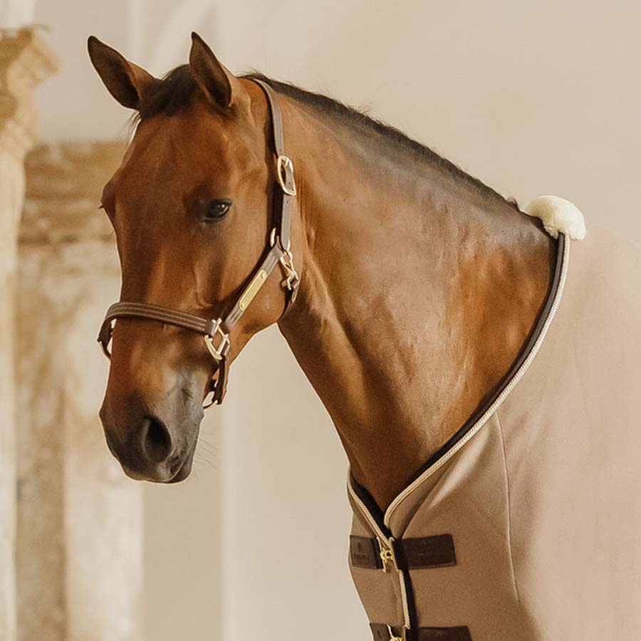 Kantar skórzany Artificial Wellington Brązowy