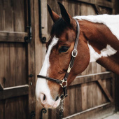 Kantar skórzany Grooming Artificial Leather brązowy Kantar skórzany Grooming Artificial Leather brązowy