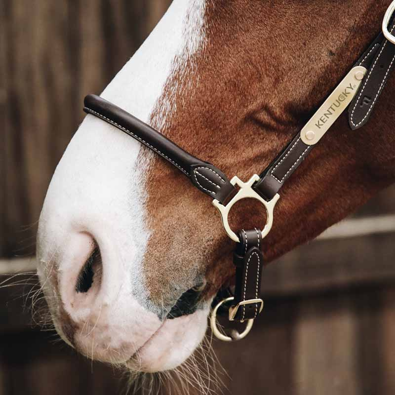 Kantar skórzany Grooming Artificial Leather brązowy