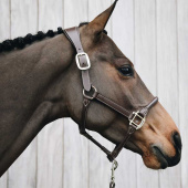 Kantar anatomiczny Syntetyczna skóra brązowy Kantar anatomiczny Syntetyczna skóra brązowy