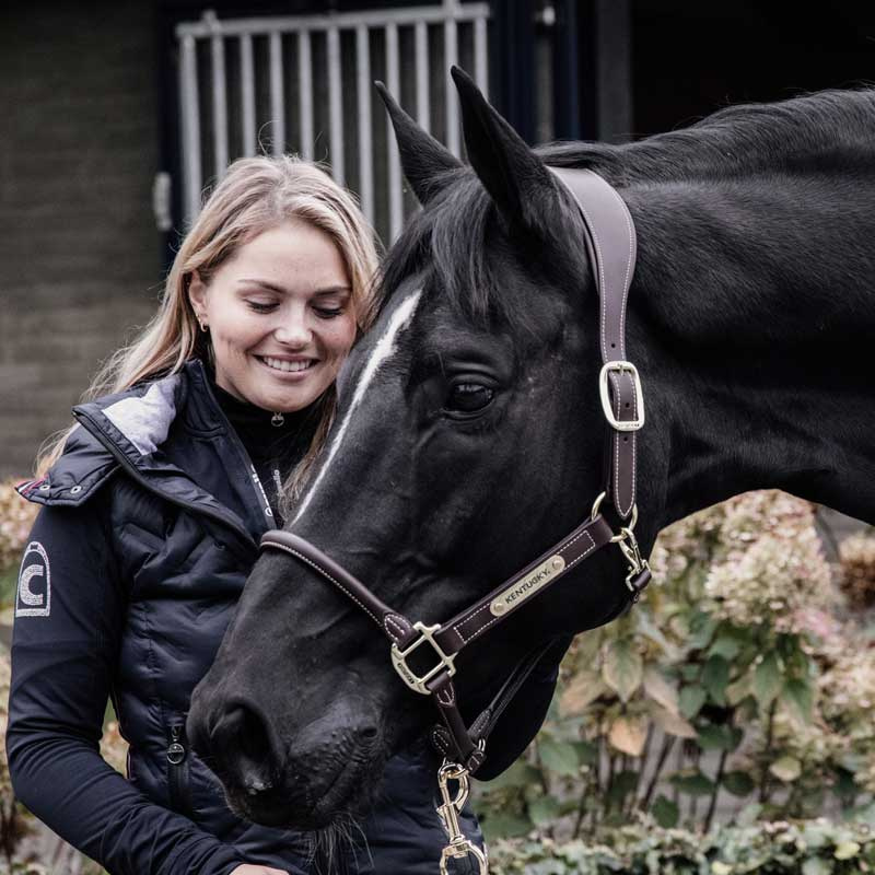 Kantar anatomiczny Syntetyczna skóra brązowy