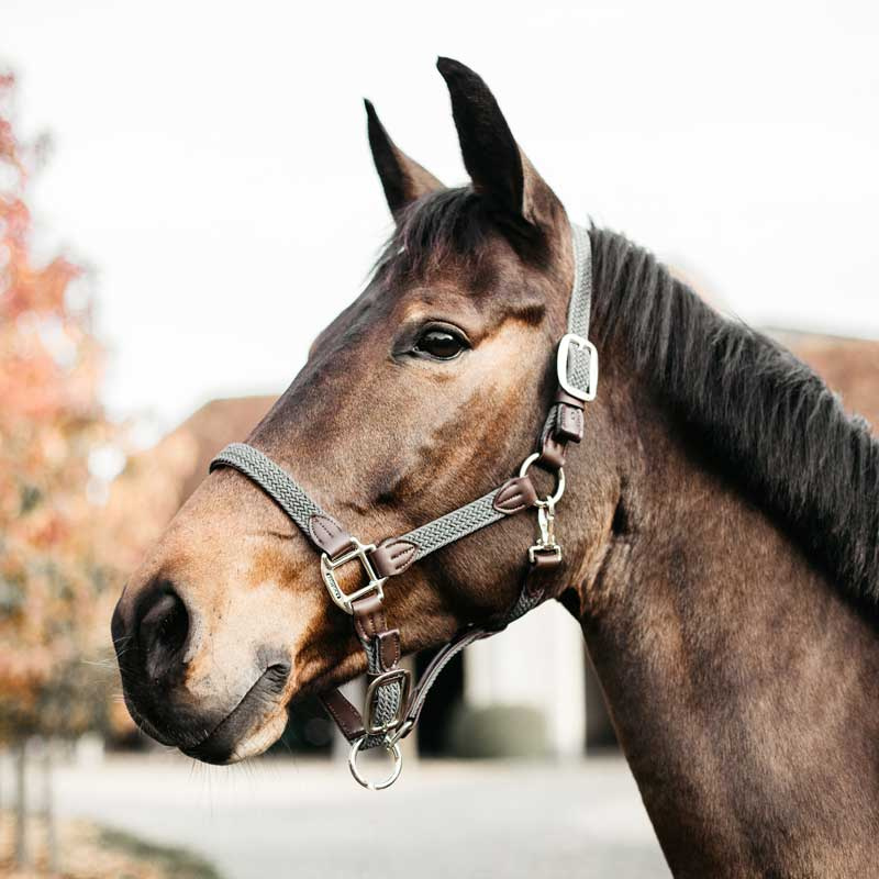 Kantar Plaited Nylon Szary