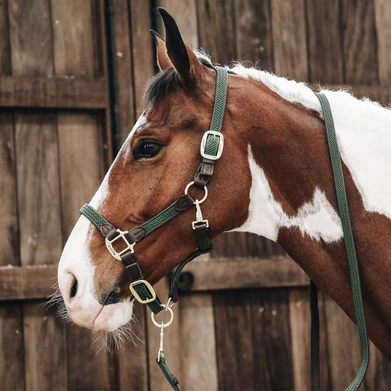 Kantar Plaited Nylon Oliwkowy