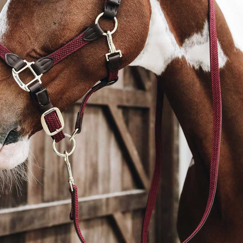 Uwiąz Plaited Nylon Bordowy