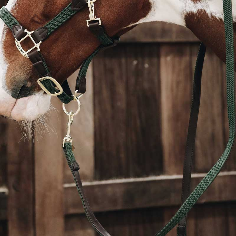 Uwiąz Plaited Nylon Oliwkowy