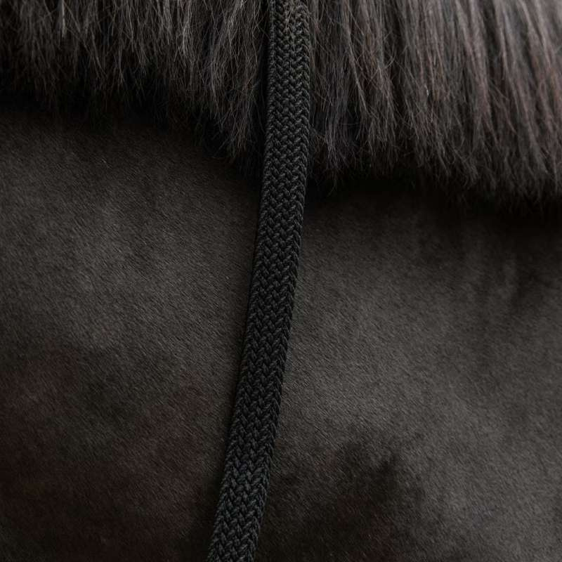 Uwiąz Plaited Nylon Czarny