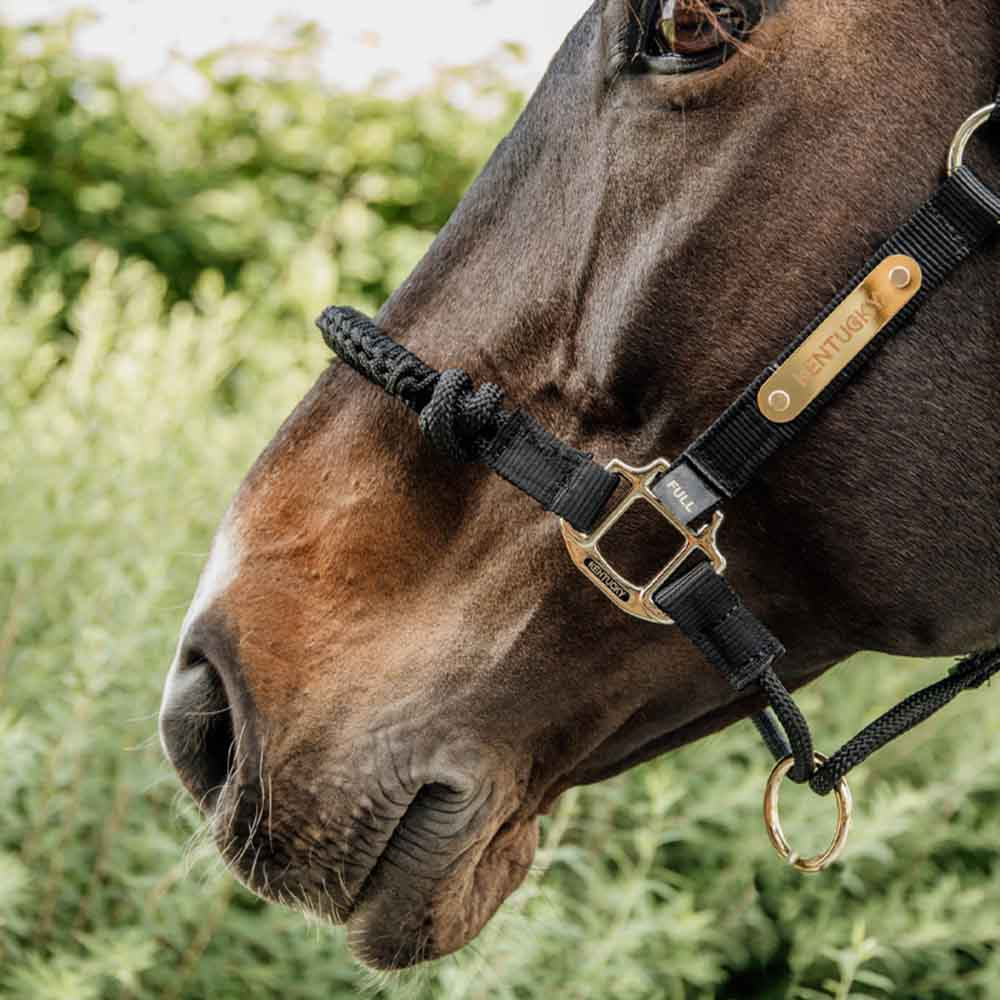 Kantar Control Nylon Rope Czarny