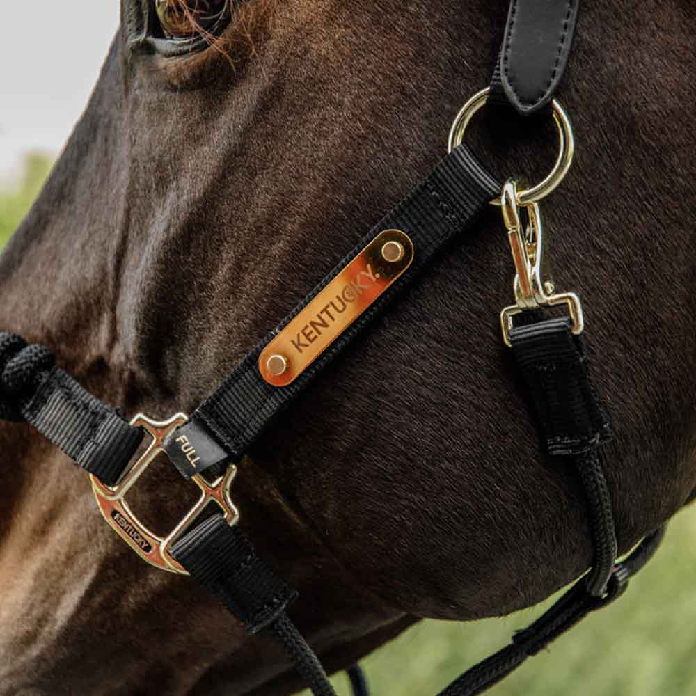 Kantar Control Nylon Rope Czarny