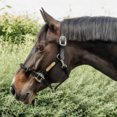 Kantar Control Nylon Rope Czarny Kantar Control Nylon Rope Czarny