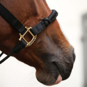 Kantar Control Nylon Rope Czarny Kantar Control Nylon Rope Czarny