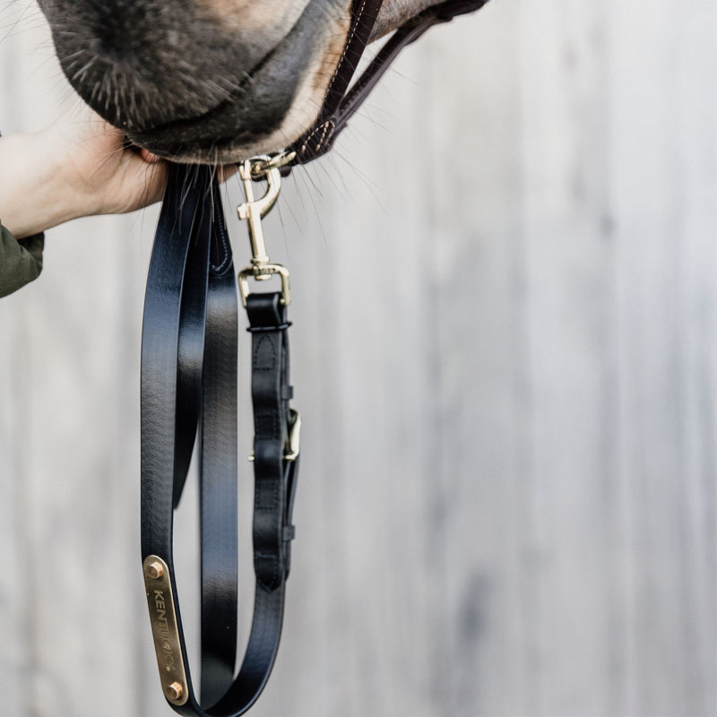 Uwiąz skórzany Presentation Artificial Czarny