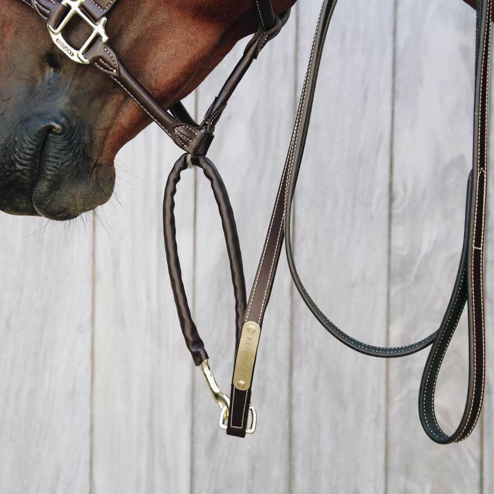 Uwiąz łańcuszkowy obszyty skórą Brązowy