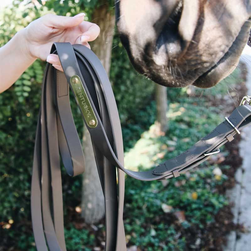 Uwiąz dla ogiera 4m brązowy