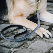 Uwiąz pętlowy szary Uwiąz pętlowy szary