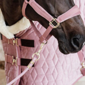 Uwiąz Basic Stary róż Uwiąz Basic Stary róż