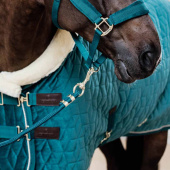 Uwiąz Basic Szmaragdowa zieleń Uwiąz Basic Szmaragdowa zieleń