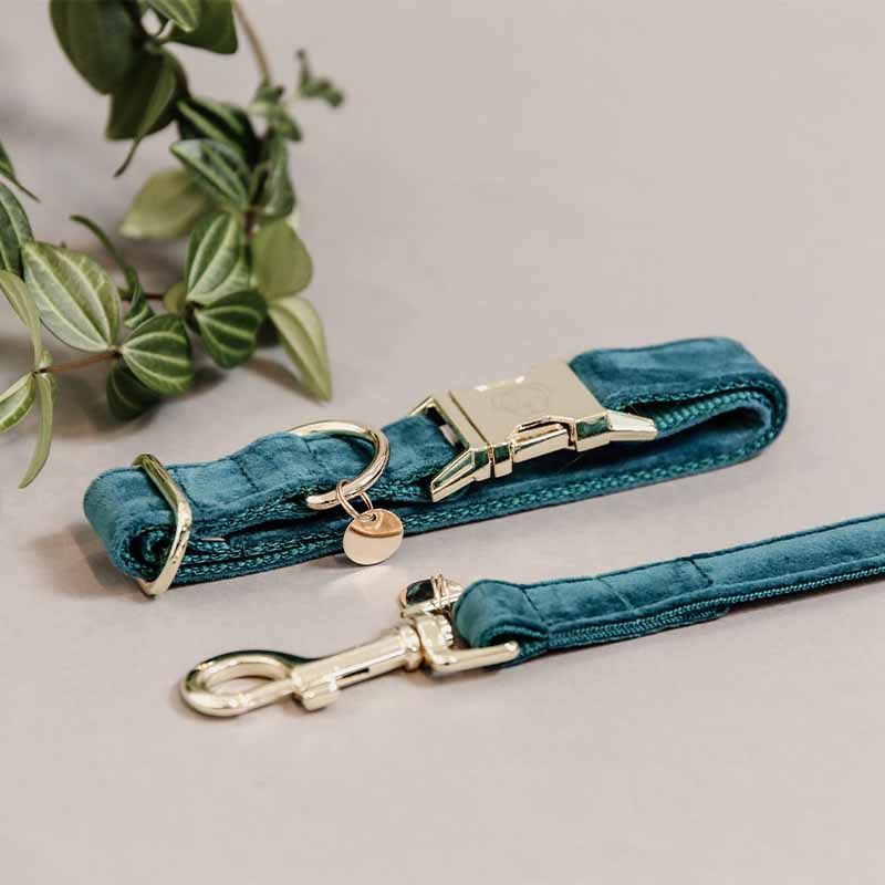 Obroża Velvet Szmaragdowa zieleń