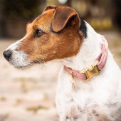 Obroża Velvet Stary róż Obroża Velvet Stary róż