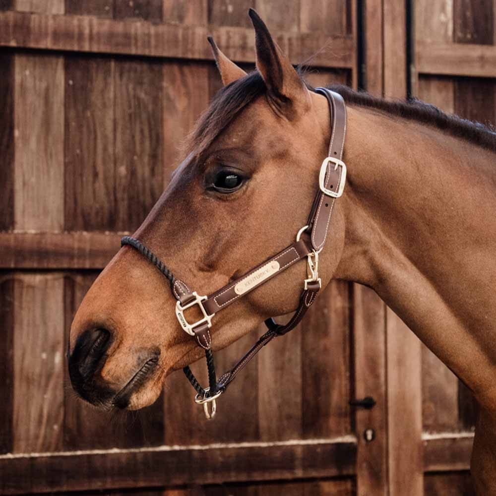 Kantar skórzany Rope Artificial Brązowy