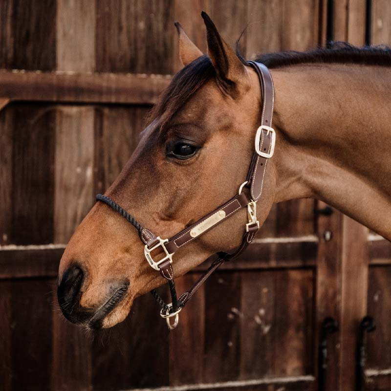 Kantar skórzany Rope Artificial Brązowy