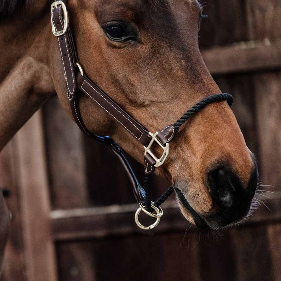 Kantar skórzany Rope Artificial Brązowy