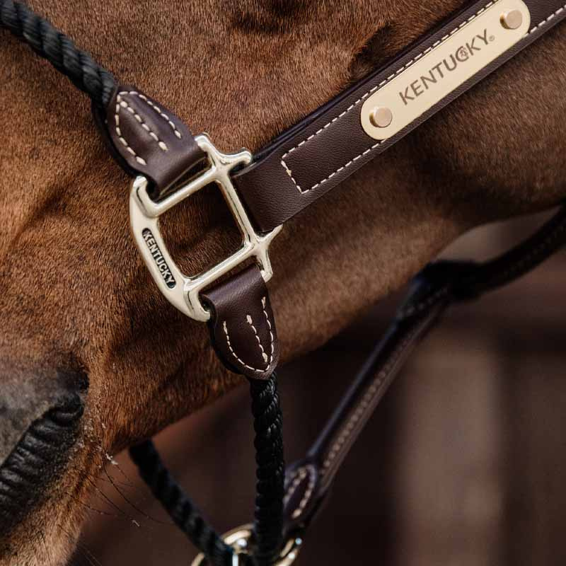 Kantar skórzany Rope Artificial Brązowy