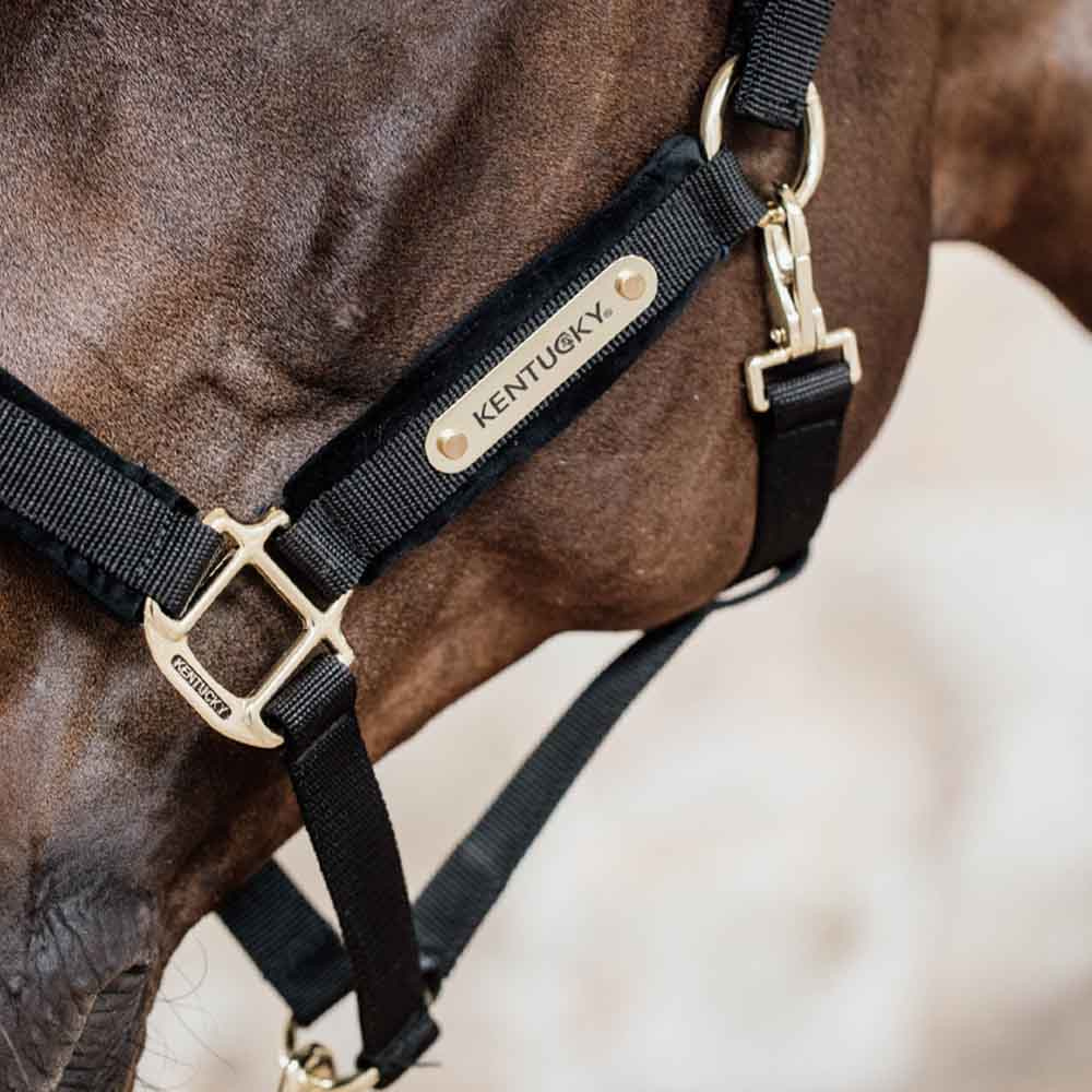 Kantar Velvet Czarny