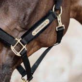 Kantar Velvet Czarny Kantar Velvet Czarny