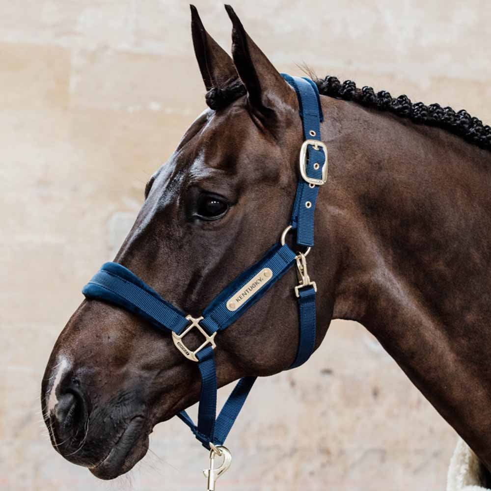 Kantar Velvet Granatowy