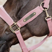 Kantar Velvet Stary Róż Kantar Velvet Stary Róż