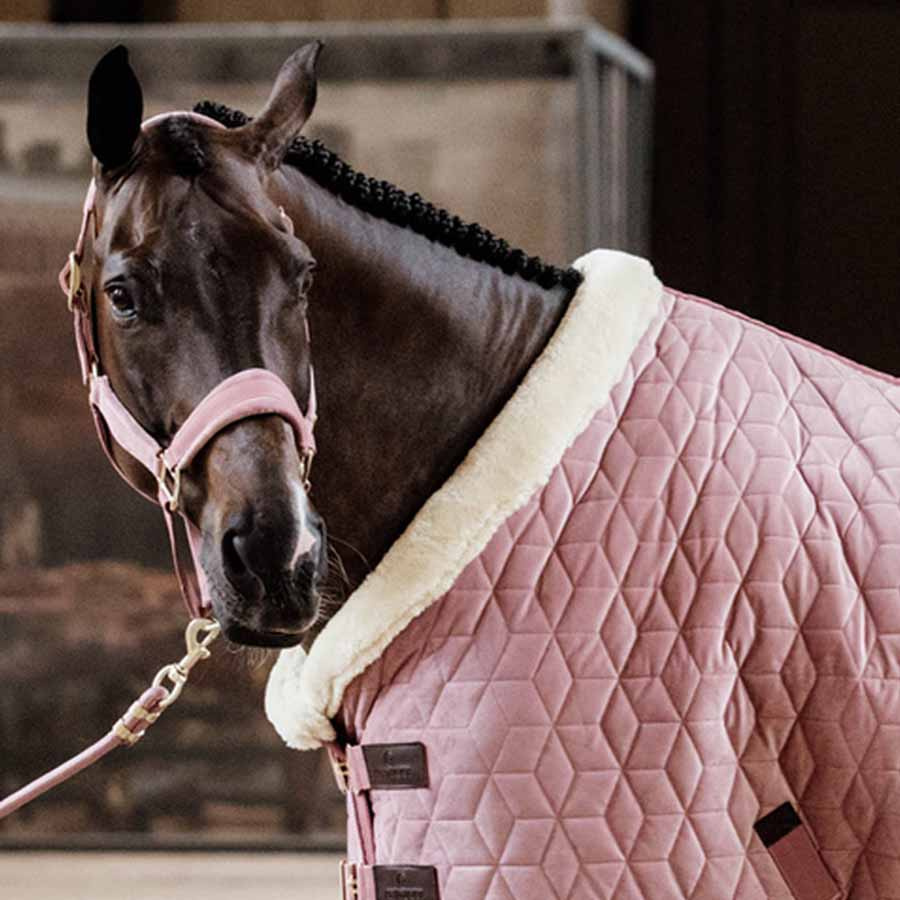 Kantar Velvet Stary Róż