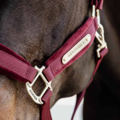 Kantar Velvet Bordowy Kantar Velvet Bordowy