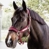 Kantar Velvet Bordowy Kantar Velvet Bordowy