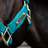 Kantar Velvet Szmaragdowa Zieleń Kantar Velvet Szmaragdowa Zieleń