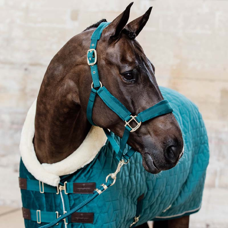 Kantar Velvet Szmaragdowa Zieleń