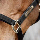 Kantar Anatomic Nylon Czarny Kantar Anatomic Nylon Czarny