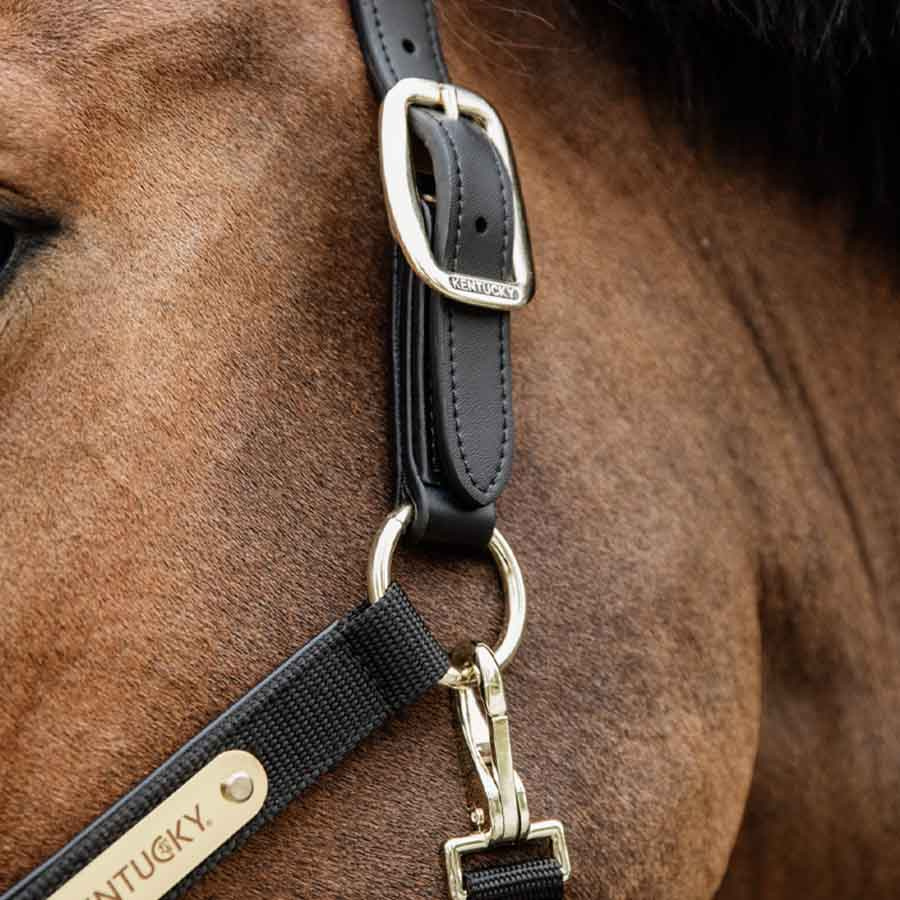 Kantar Anatomic Nylon Czarny