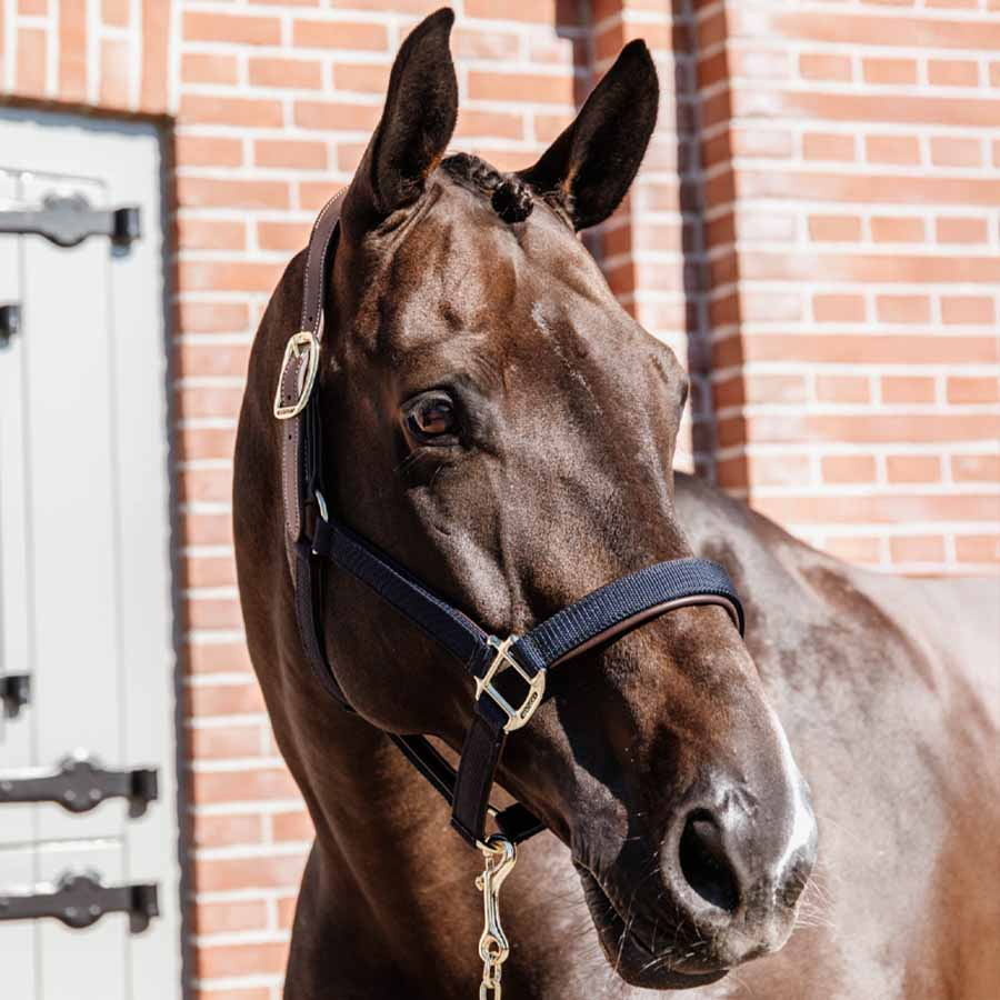 Kantar Anatomic Nylon Granatowy