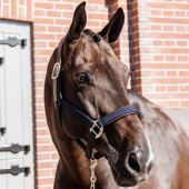 Kantar Anatomic Nylon Granatowy Kantar Anatomic Nylon Granatowy