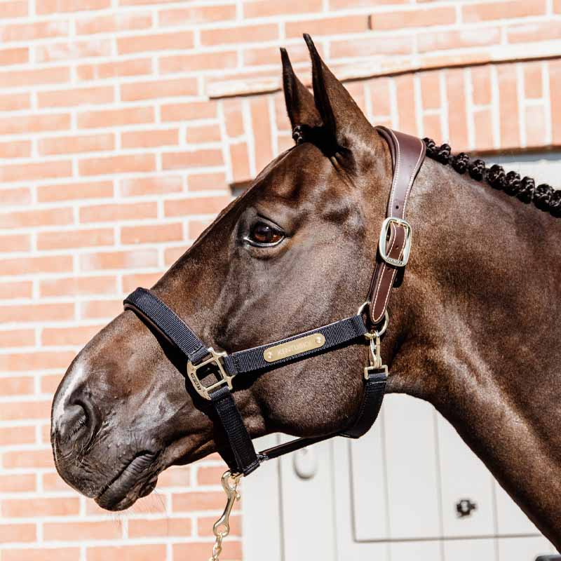 Kantar Anatomic Nylon Granatowy