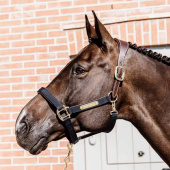 Kantar Anatomic Nylon Granatowy Kantar Anatomic Nylon Granatowy