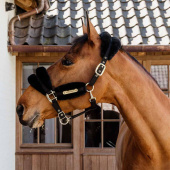 Kantar Sheepskin Soft Czarny Kantar Sheepskin Soft Czarny